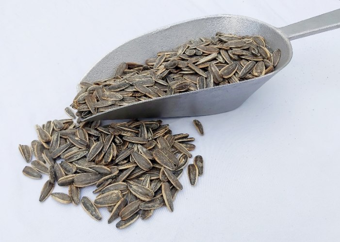 גרעיני חמניה קלוי במלח 500 גרם