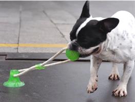 צעצוע נשיכה מיוחד לכלב