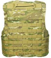 minimalistic plate carrier