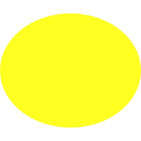 פוליגל צהוב