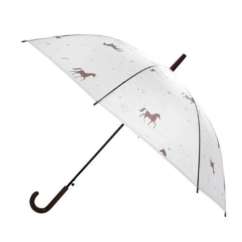 מטרייה חד קרן