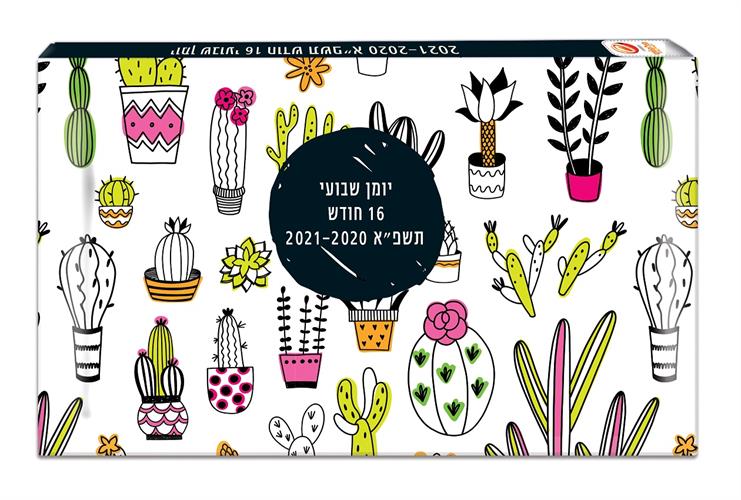 יומן 10 17קקטוס