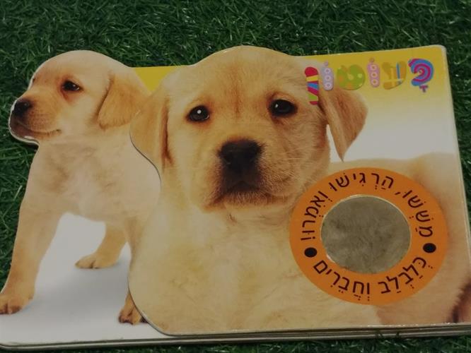 ספר חושים קשיח לפעוטות, הכלב