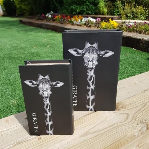 ספר קופסא ג'ירף קטן