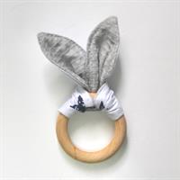 נשכן ארנב כוכבים