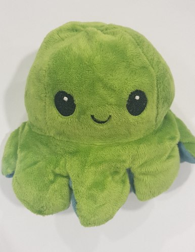 תמנון מחייך/ עצוב