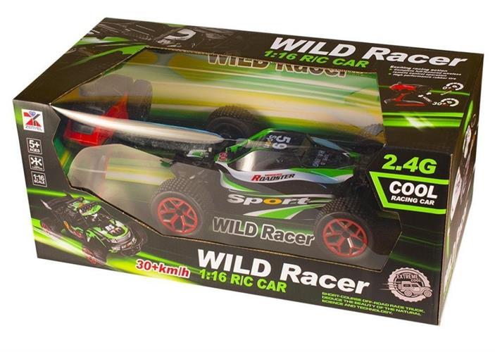 מכונית באגי עם שלט