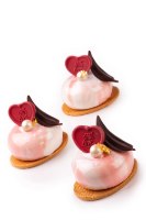 30 יח' פנינה לבנה  DOBLA