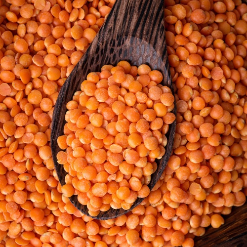 עדשים כתומות שלמות