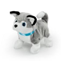 חיית המחמד שלי- כלבלב