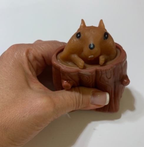 סנאי בתוך גזע פידגיט טוי