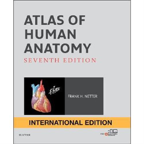 NETTER Atlas of Human Anatomy