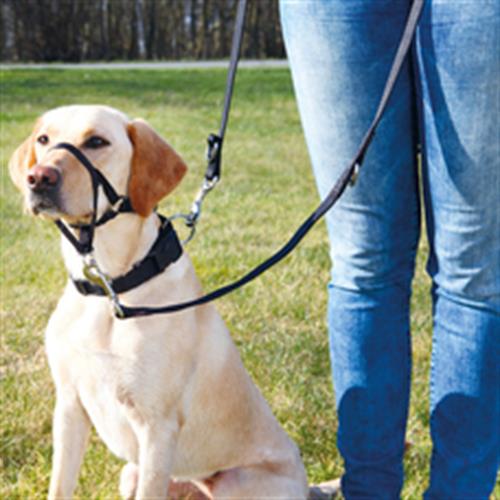 Top Trainer Training Harness trixie
