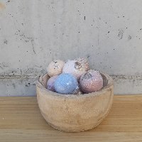 פצצת אמבטיה