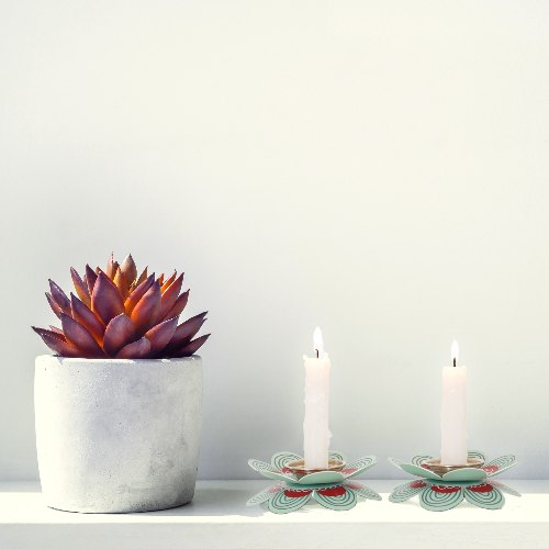 פמוטים   פרחים  דגם  עלי כותרת   טורכיז   P-3