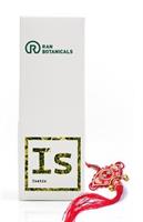 עותק של איסטיס - Isatis