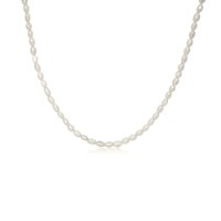 שרשרת פנינים עדינה 