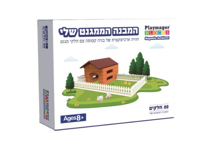 המבנה הממגנט שלי 80 חלקים