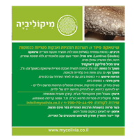 -- שיטאקה פיור - SHIITAKE PURE -- מכיל 60 כמוסות צמחיות HPMC, מיקוליביה