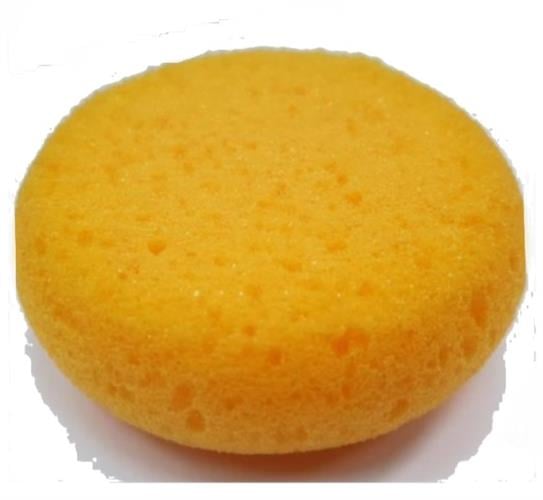 ספוגית לצבעי מים