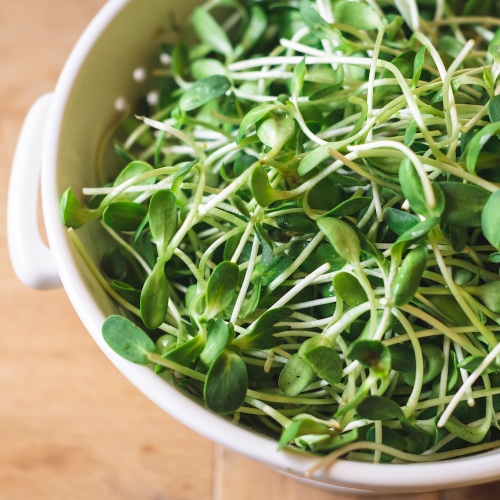 זרעי נבטי חמניה זברה – 200 גרם