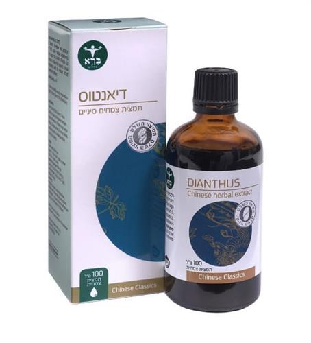 דיאנטוס - Ba Zheng San - Dainthus