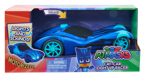 מכונית מירוץ ילד חתול