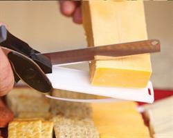 הסכין החכמה