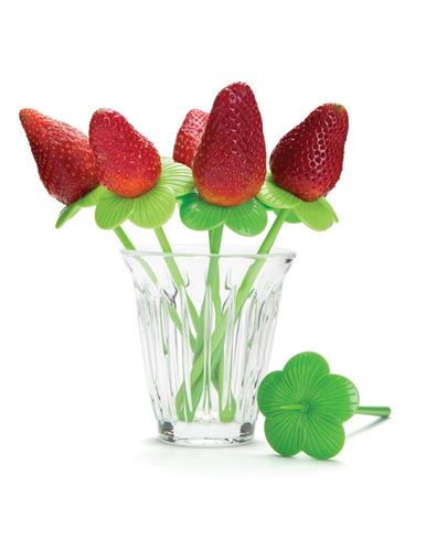 בלוסום - גבעולים לקישוט