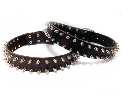 קולר עור דוקרנים 2 שורות