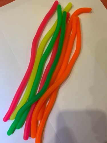 נחש צבעוני פידגיט טויס