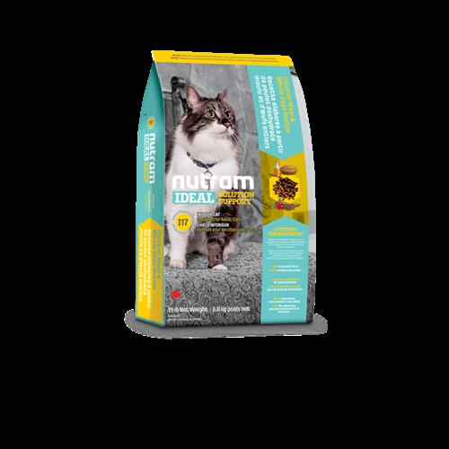 נוטרם אידאל לחתול אינדור I17