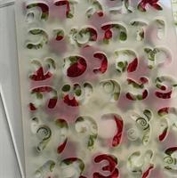 שקף טרנספר מיקס פרחים אורית