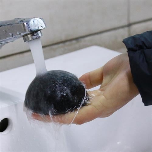 ספוג טבעי מפחם פעיל נספג לגוף