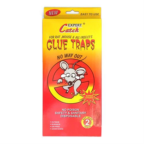 מלכודת דבק לחולדות מקצועית 2 מגשי פלסטיק