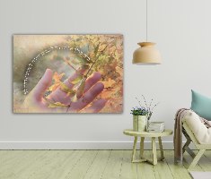 תמונה - בואי כולך