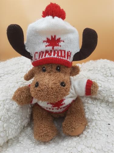 צבי חורפי מקנדה