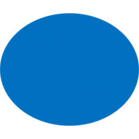 פוליגל כחול