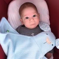 שמיכי, אהוד התינוק החמוד