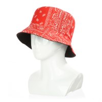 כובע טמבל נקודות