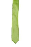 עניבה ירוק בהיר