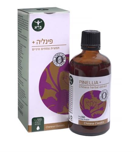 פינליה +  Pinellia X) Pinellia)