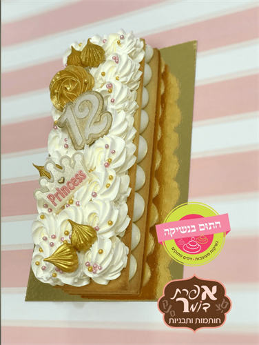 דיסקית מספר