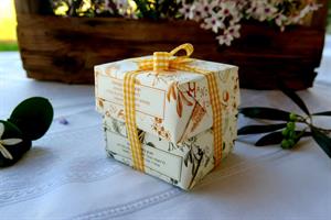 זוג סבונים בהנחה לבחירה מהמלאי הקיים