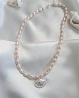 שרשרת פנינים צדף