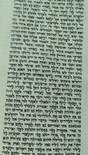 ספר תורה אשכנזי מהודר