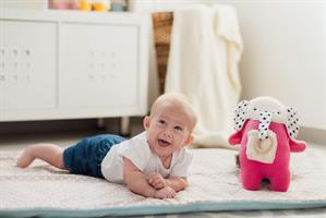 מיקה הפילה: תרגול מוטוריקה עדינה