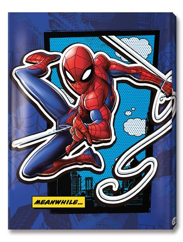 תיק פייל 20ספיידרמן