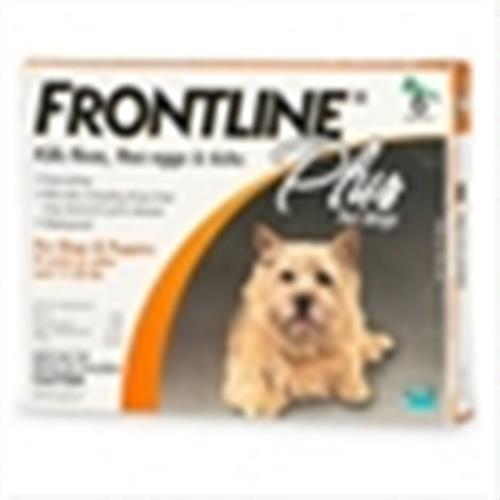 אמפולות פרונטליין לכלב עד 10 ק"ג