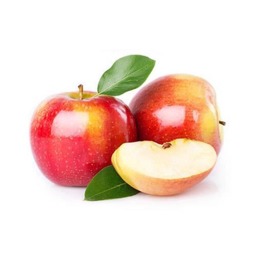 תפוח עץ פינק ליידי